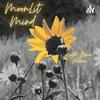 undefined MoonLit Mind