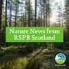 undefined Nature News from RSPB Scotland