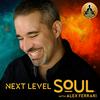 undefined Next Level Soul Podcast with Alex Ferrari