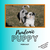 undefined Pandemic Puppy Podcast