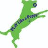 undefined PLaY Like a Puppy!