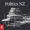 undefined Politics NZ