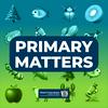 undefined Primary Matters