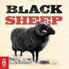 undefined Black Sheep