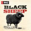 undefined Black Sheep