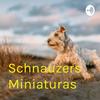 undefined Schnauzers Miniaturas