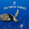 undefined Sea Turtle Stories