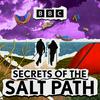 undefined Secrets of the Salt Path