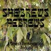 undefined SheBrews, HeBrews: A Jewish Fermentation Podcast