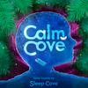 undefined Sleep Sounds - White Noise & Sleep Music from Calm Cove