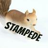 undefined Squirrel Stampede