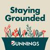 undefined Staying Grounded