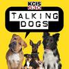 undefined Talking Dogs on KCIS