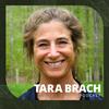 undefined Tara Brach