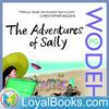 undefined The Adventures of Sally by P. G. Wodehouse