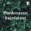 undefined The Amazon Rainforest