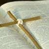 undefined The Bible Project Daily Podcast