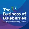 undefined The Business of Blueberries