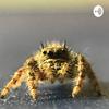 undefined The Critter Keeper