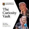 undefined The Curiosity Vault