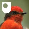 undefined The Galapagos - for iPad/Mac/PC
