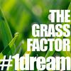 undefined The Grass Factor