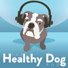 undefined The thehealthydogpod’s Podcast