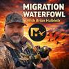 undefined The Migration Waterfowl Podcast