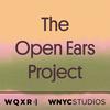 undefined The Open Ears Project