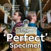 undefined The 'Perfect' Specimen