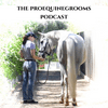 undefined The Proequinegrooms Podcast