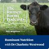 undefined The Rumen Room Podcasts