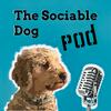 undefined The Sociable Dog Podcast