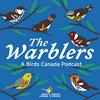 undefined The Warblers by Birds Canada