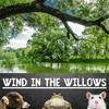 undefined The Wind in the Willows