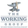 undefined The Working Group - NZ’s Best Weekly Political Podcast