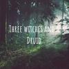 undefined Three Witches and a Druid