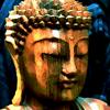 undefined Thus Have I Heard: Readings From the Sutras of the Buddha