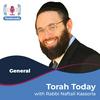 undefined Torah Today with Rabbi K