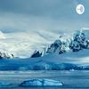 undefined Voice of Antartica