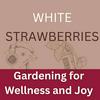 undefined Gardening for Wellness & Joy: White Strawberries