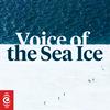 undefined Wild Sounds: Voice of the Sea Ice