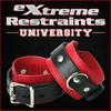 undefined XR University