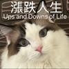 undefined 漲跌人生Ups and Downs of Life