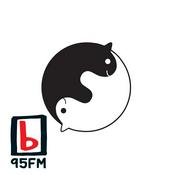 Podcast 95bFM: Friendly Potential