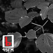 Podcast 95bFM: Natural Ange