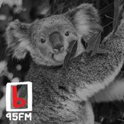 Podcast 95bFM: Neighbourhood Watch