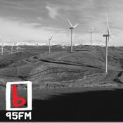 Podcast 95bFM: The Green Desk