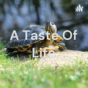 Podcast A Taste Of Life