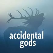 Podcast Accidental Gods